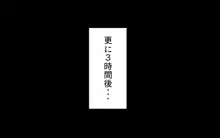 さいみん風見幽香, 日本語