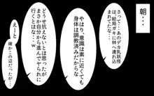 さいみん風見幽香, 日本語